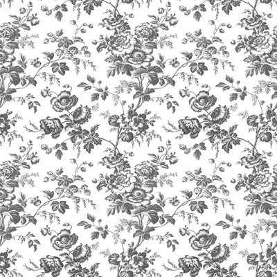 KRAVET DESIGN KRAVET DESIGN PRINT---BOTANICAL & FLORAL BLACK,WHITE,   - W4243.8.0