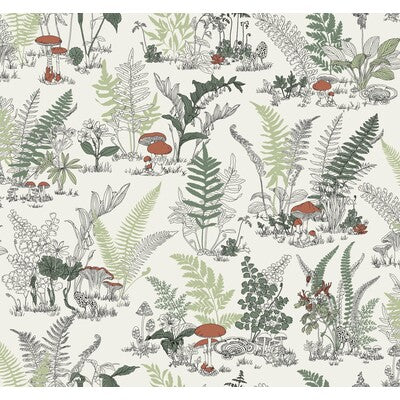 KRAVET DESIGN KRAVET DESIGN PRINT--BOTANICAL & FLORAL-TOILE GREEN,RUST,IVORY   - W4244.324.0