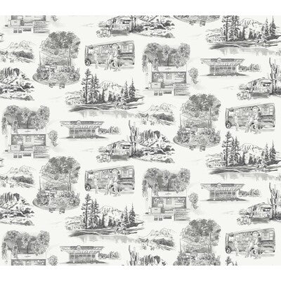 KRAVET DESIGN KRAVET DESIGN PRINT--NOVELTY-TOILE GREY,WHITE,BLACK   - W4245.1121.0