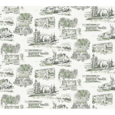 KRAVET DESIGN KRAVET DESIGN PRINT--NOVELTY-TOILE GREEN,WHITE,BLACK   - W4245.31.0