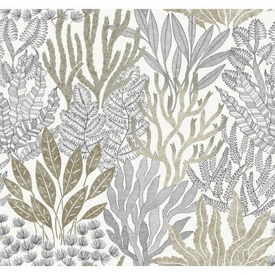 KRAVET DESIGN KRAVET DESIGN PRINT---BOTANICAL & FLORAL TAUPE,WHITE,BLACK   - W4246.106.0