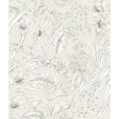 KRAVET DESIGN KRAVET DESIGN PRINT--BOTANICAL & FLORAL-TOILE IVORY,WHITE,GOLD   - W4248.1.0