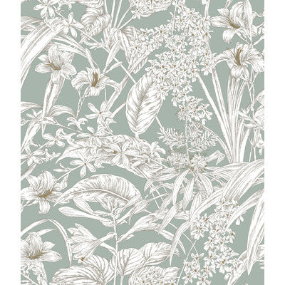 KRAVET DESIGN KRAVET DESIGN PRINT--BOTANICAL & FLORAL-TOILE TURQUOISE,WHITE,GOLD   - W4248.13.0