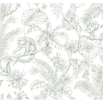 KRAVET DESIGN KRAVET DESIGN PRINT--ANIMAL/INSECTS-BOTANICAL & FLORAL GREEN,WHITE,   - W4250.31.0