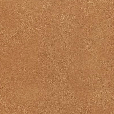NICHOLASJOHN INC NJ-KEN Leather    Fabric - NJ25-3645
