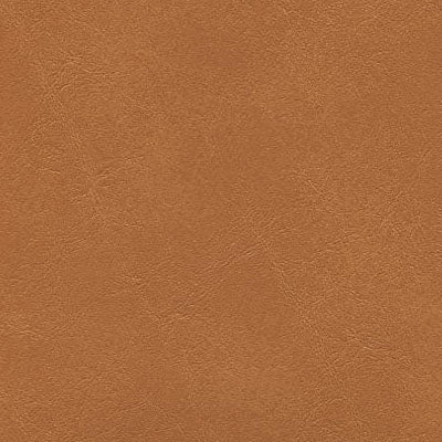 NICHOLASJOHN INC NJ-KEN Camel    Fabric - NJ25-3649