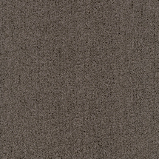 NICHOLASJOHN INC NJ-ALERT Coffee Solid   Fabric - NJ25-3654