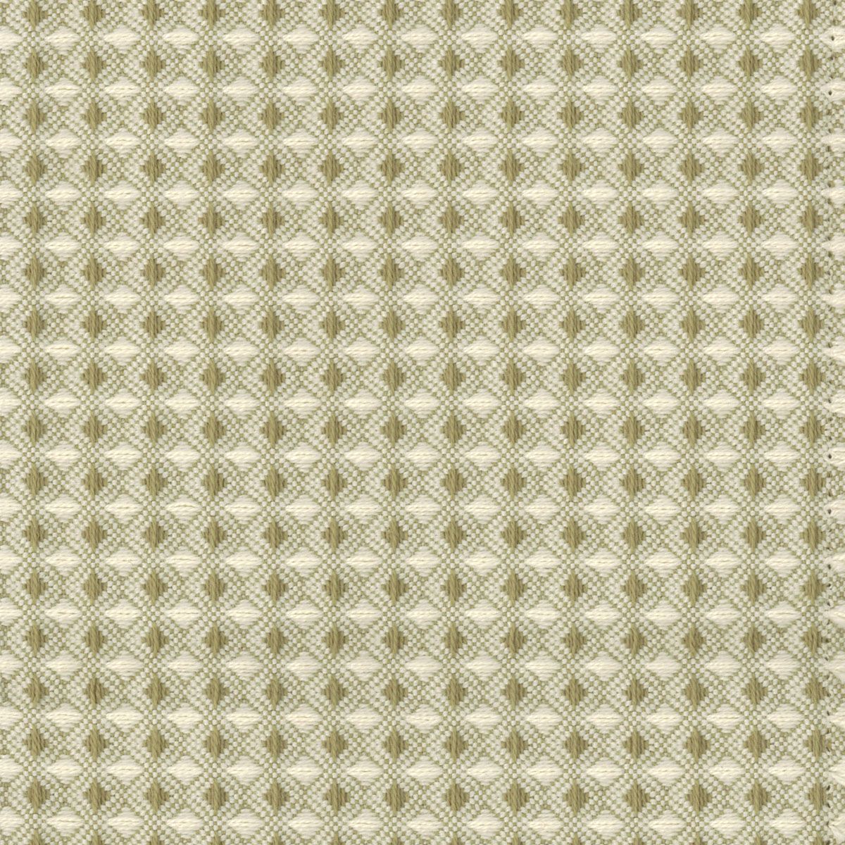 SCALAMANDRE OUTLET  FABRIC PERMIAN  FABRIC GRASS   - WC 0001U912