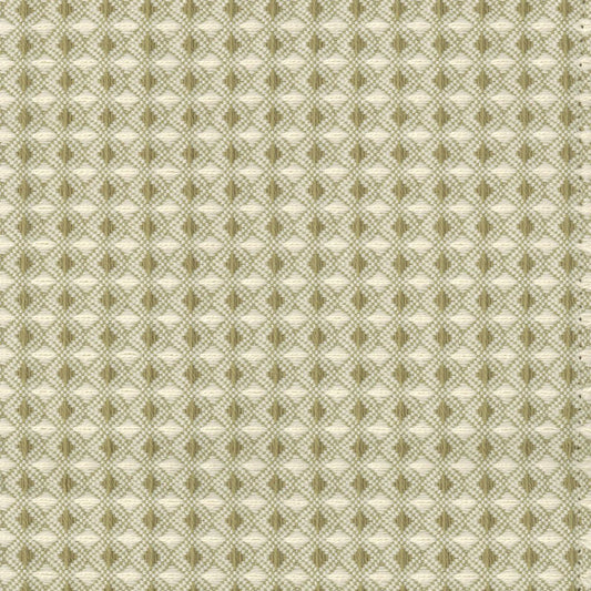 SCALAMANDRE OUTLET  FABRIC PERMIAN  FABRIC GRASS   - WC 0001U912