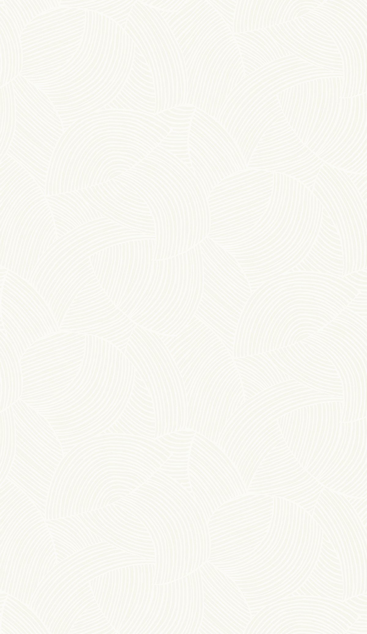 Seabrook Designs  Symphony Geometric Geometric Contemporary Whites, Off Whites   - WH40400