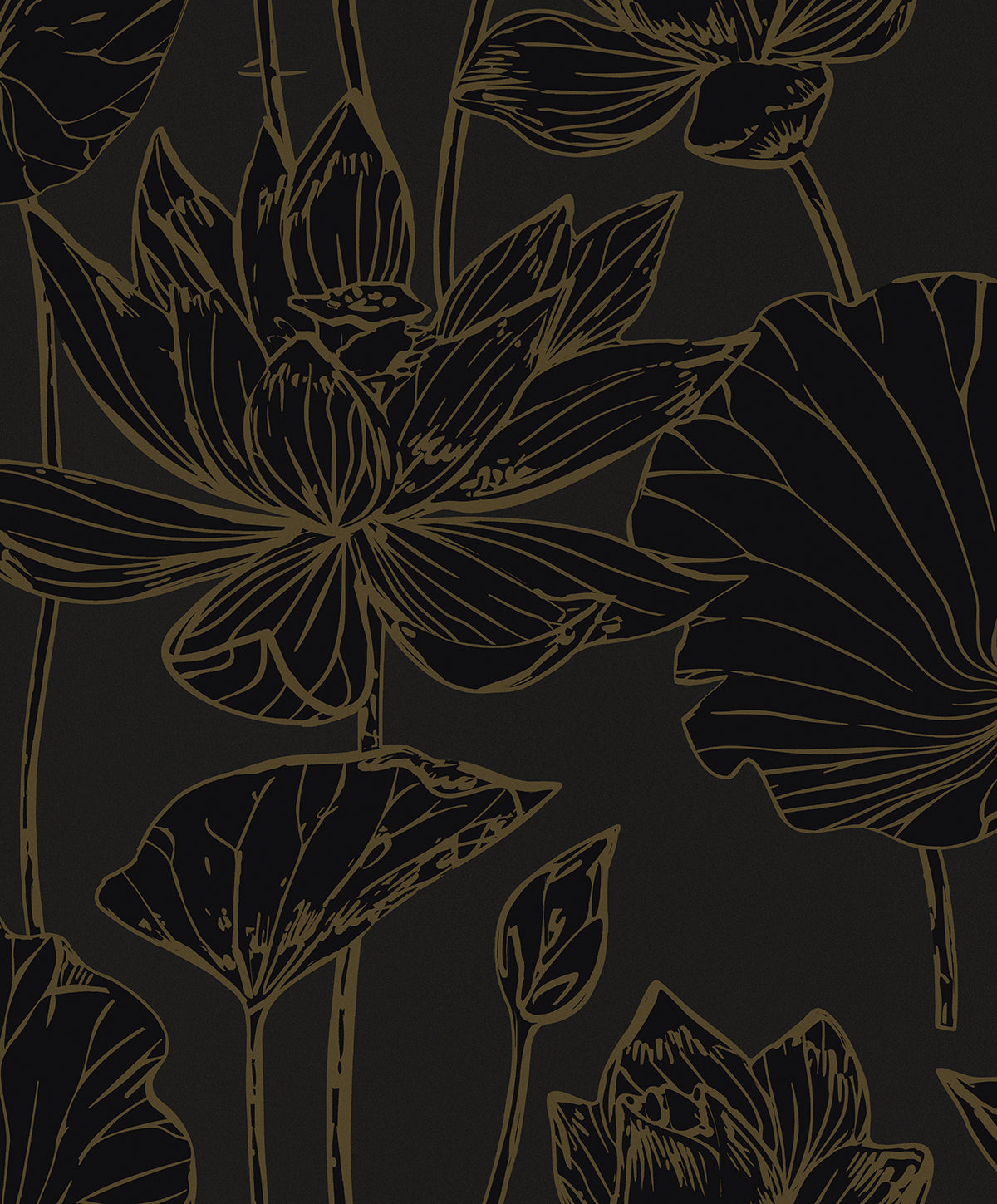 Seabrook Designs  Viola Floral Floral Contemporary Blacks   - WH40700