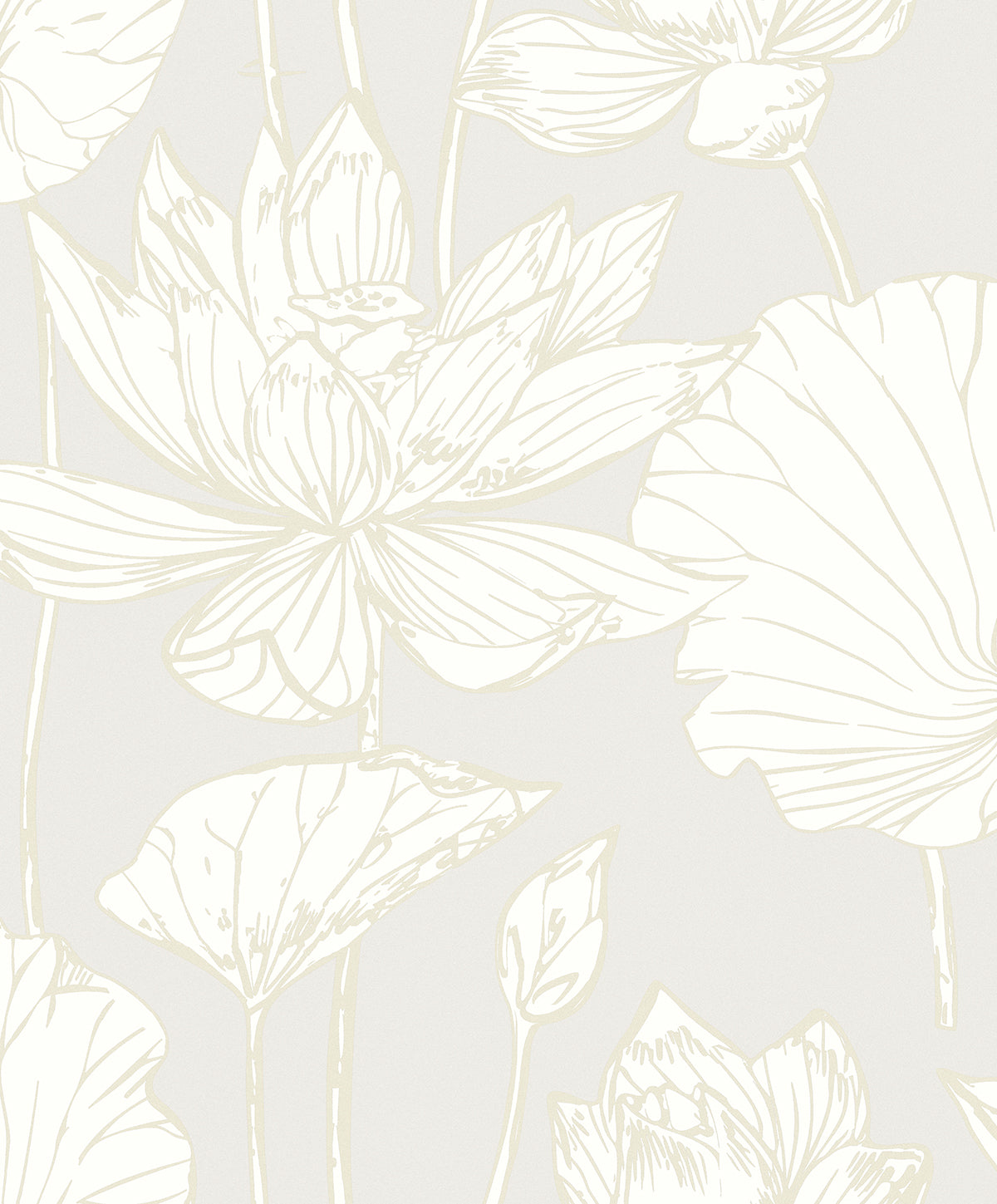 Seabrook Designs  Viola Floral Floral Contemporary Warm Neutrals, Beiges   - WH40703