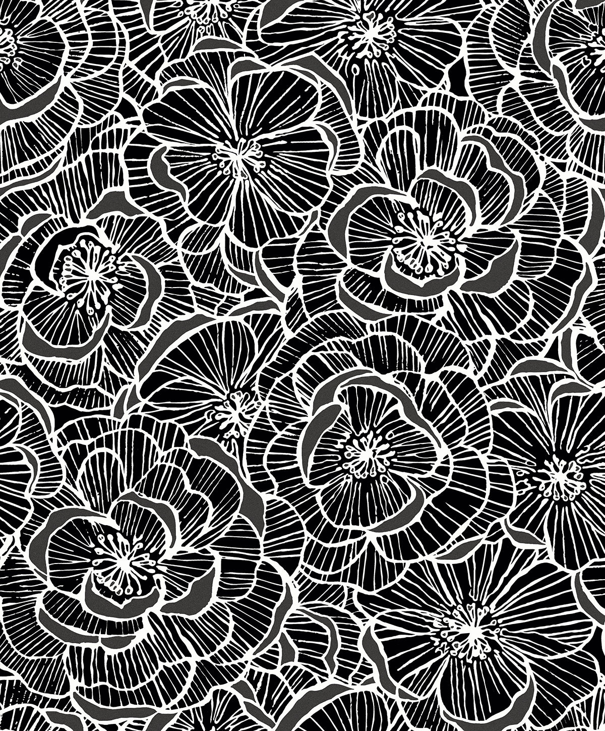 Seabrook Designs  Alejandra Floral Floral Contemporary Grays   - WH40800