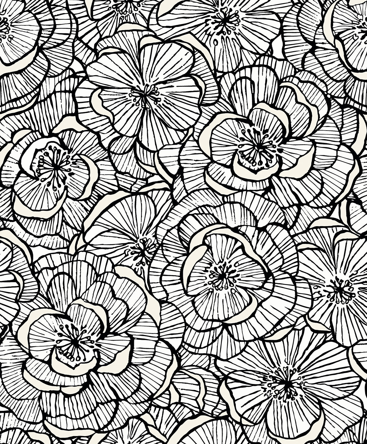 Seabrook Designs  Alejandra Floral Floral Contemporary Blacks   - WH40810