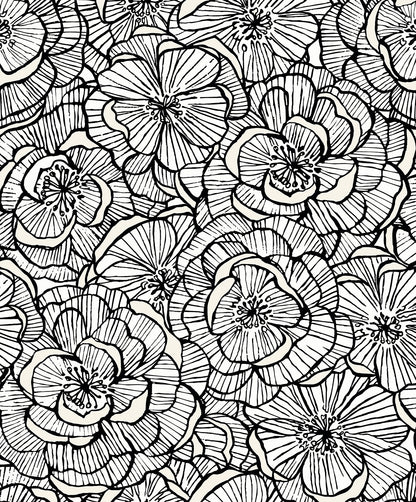 Seabrook Designs  Alejandra Floral Floral Contemporary Blacks   - WH40810