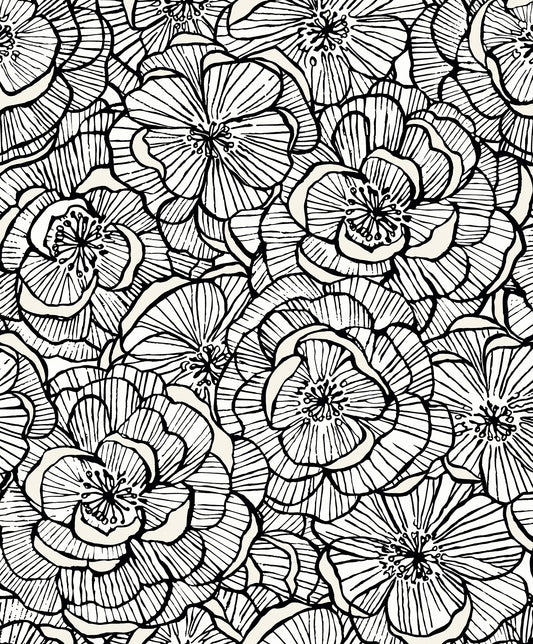 Seabrook Designs  Alejandra Floral Floral Contemporary Blacks   - WH40810