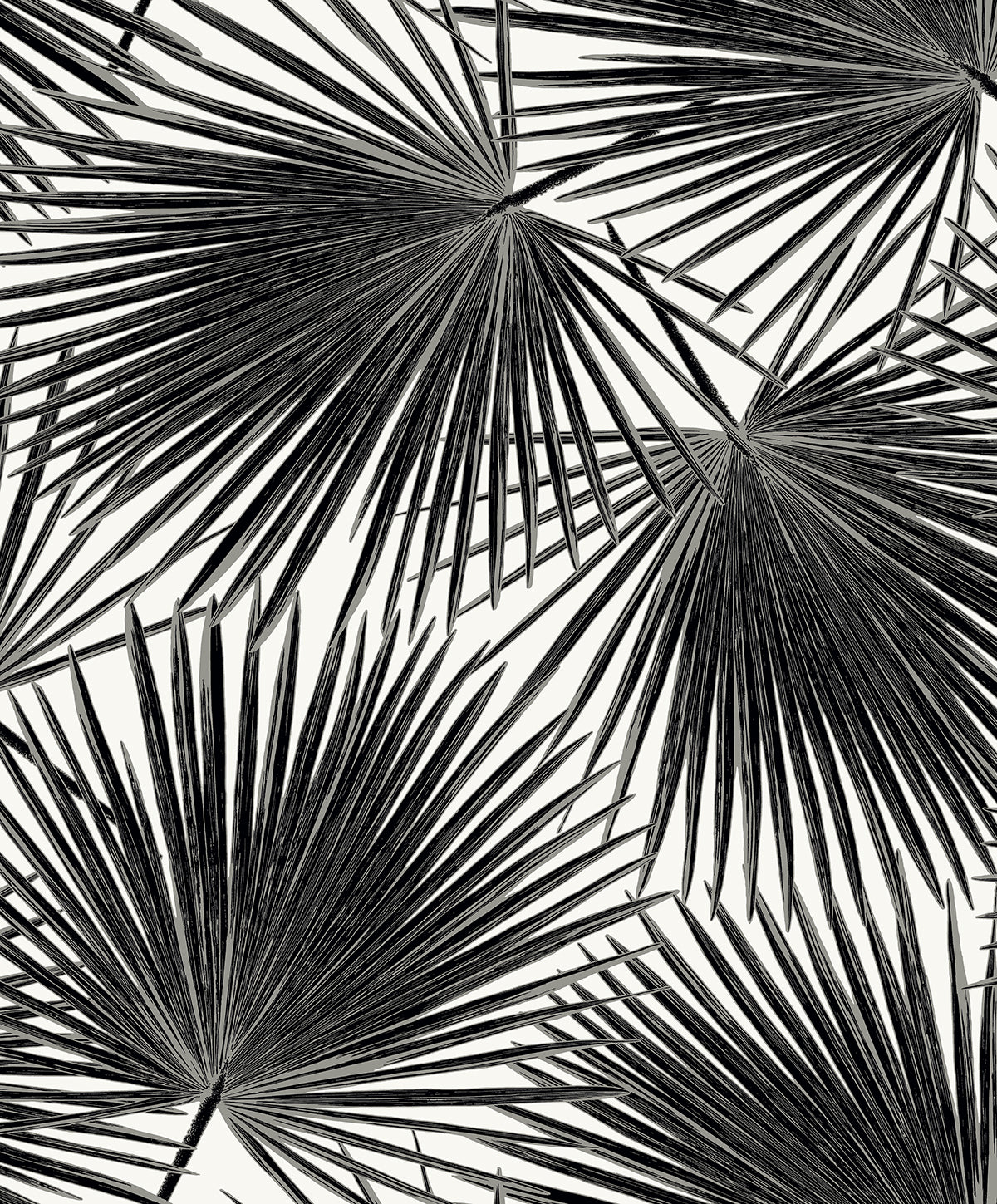 Seabrook Designs  Elvis Palms Botanical Contemporary Blacks   - WH41500