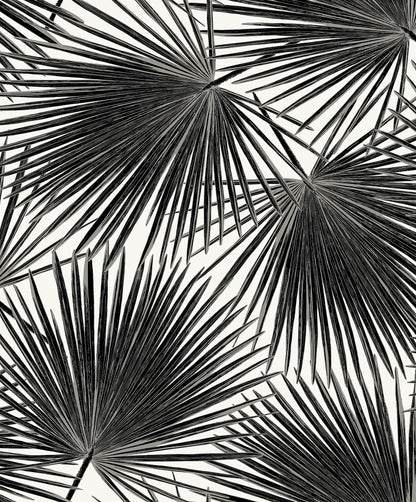 Seabrook Designs  Elvis Palms Botanical Contemporary Blacks   - WH41500