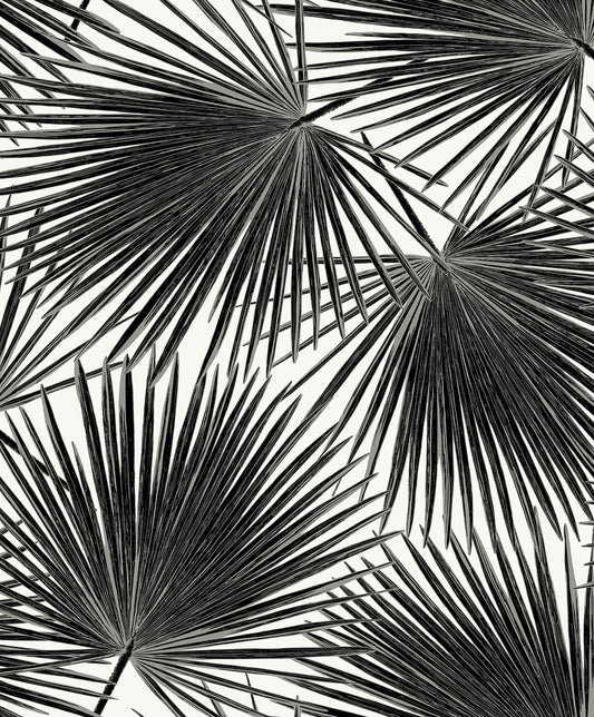 Seabrook Designs  Elvis Palms Botanical Contemporary Blacks   - WH41500