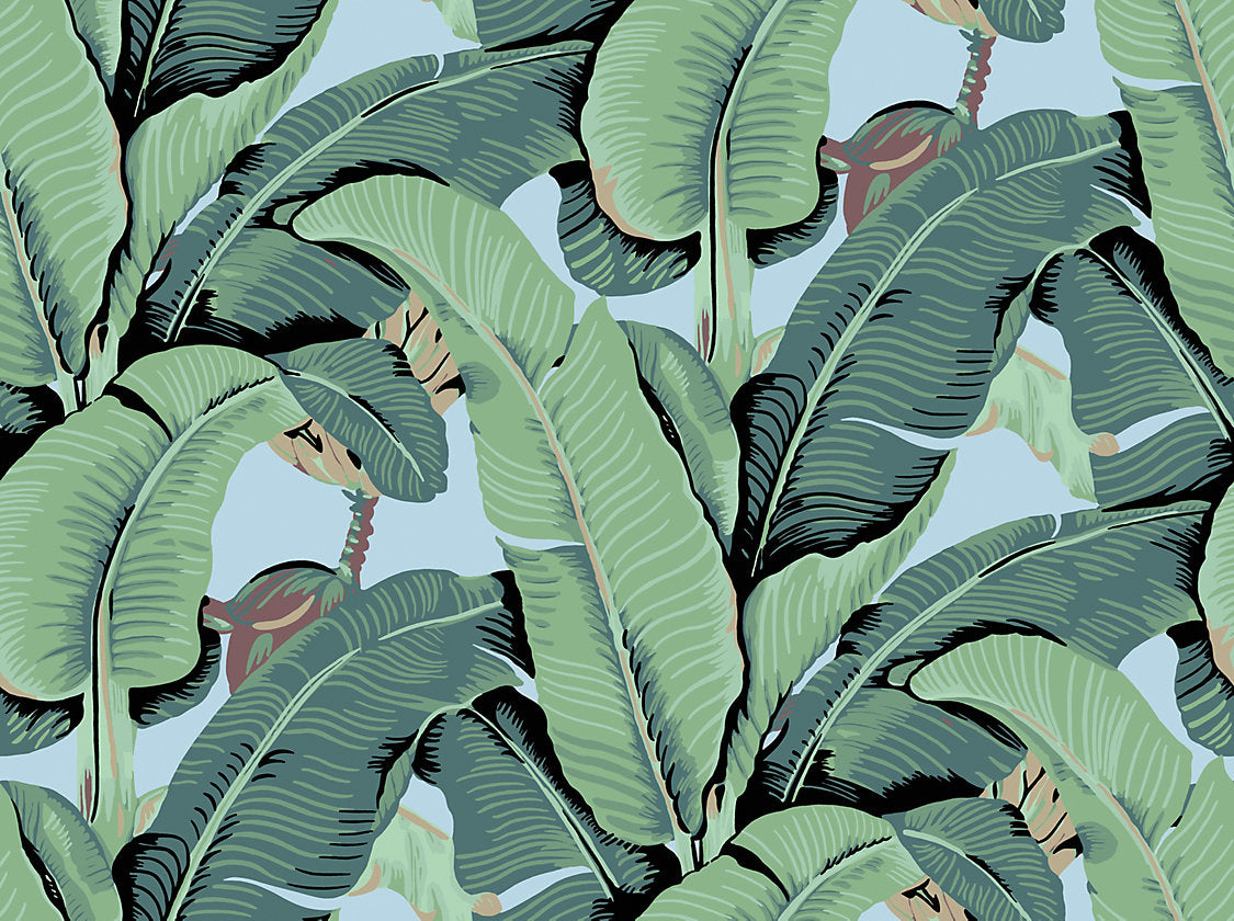 SCALAMANDRE  HINSON PALM - WIDE WIDTH BOTANICAL , SKY   -  WHN44000D0002
