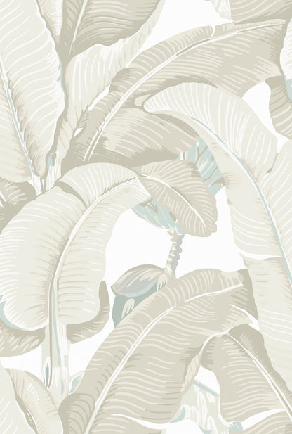 SCALAMANDRE PRINTED WALLCOVERINGS BOTANICAL , FOLIAGE, TROPICAL PRINTED WALLCOVERINGS PARCHMENT   - WHN44000MD0005