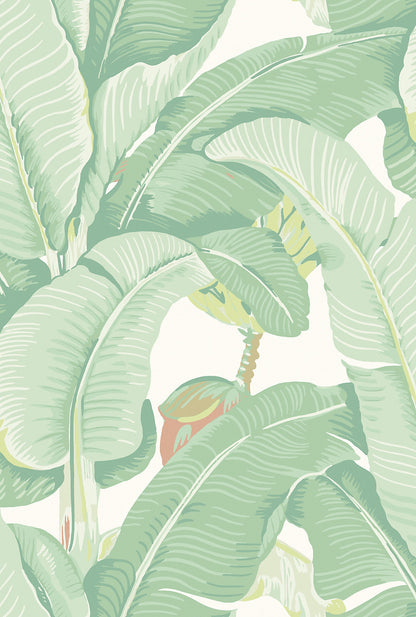 SCALAMANDRE PRINTED WALLCOVERINGS BOTANICAL , FOLIAGE, TROPICAL PRINTED WALLCOVERINGS SOFT SAGE - WHN44000MD0006