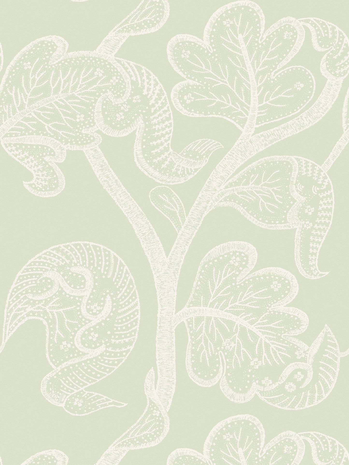 SCALAMANDRE RUSSELL WALLCOVERING   GREEN TEA   - WHNWP88631D003