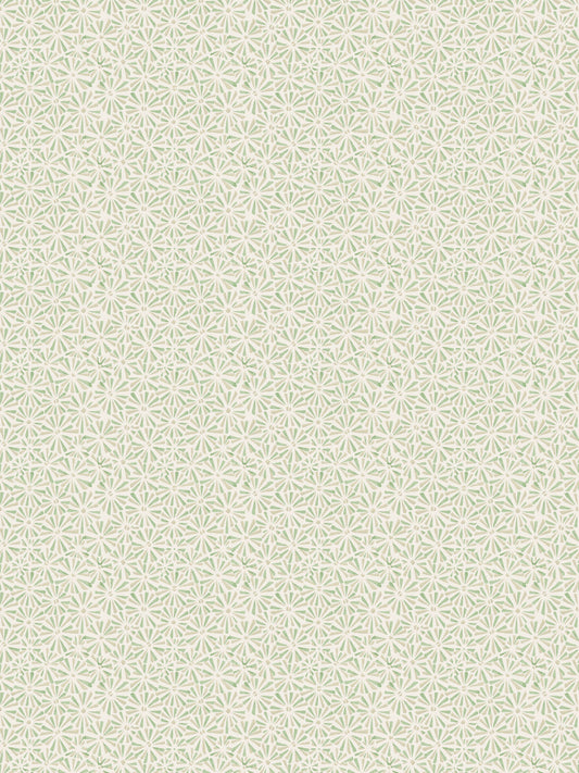 SCALAMANDRE STARBURST WALLCOVERING   SUMMER SAGE   - WHNWP88633D002