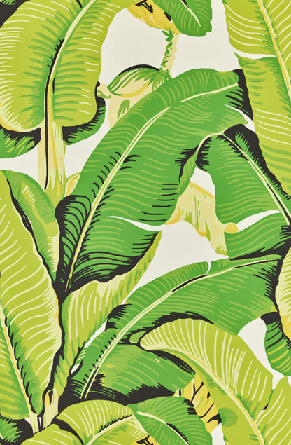SCALAMANDRE  HINSON PALM BOTANICAL , FOLIAGE MOJITO   - WHN000144000M NEW SKU # WHN44000M0001