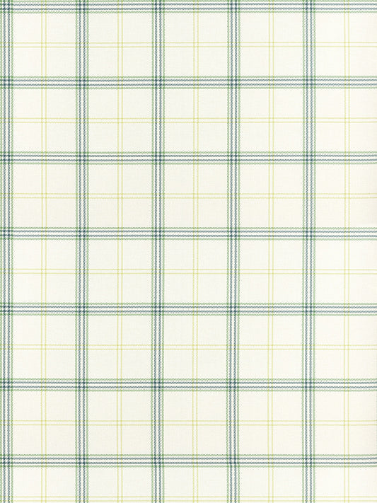Beige woven plaid fabric with green and pale yellow stripes forming a grid; lightweight textile for shirts.