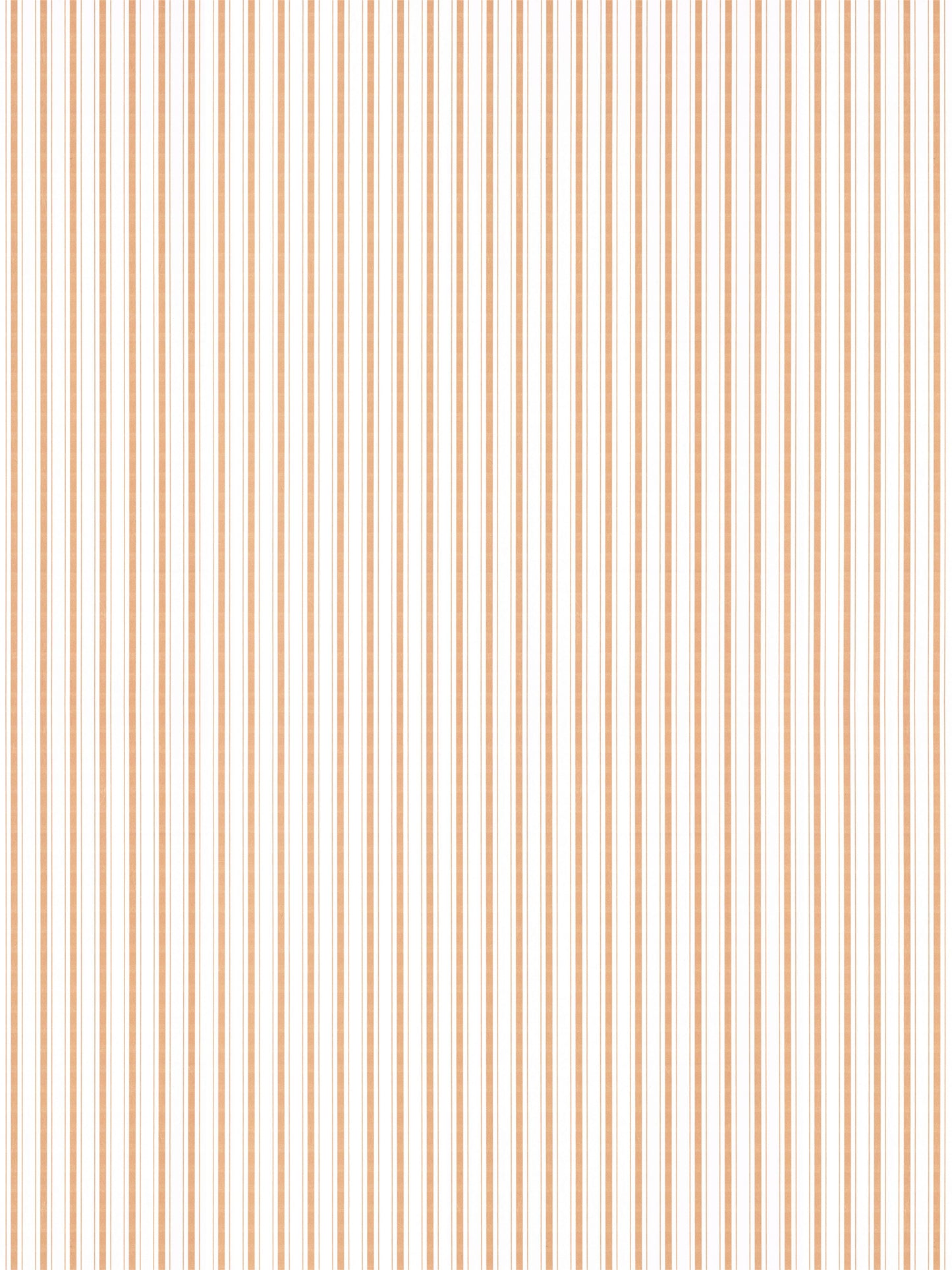 White background with thin peach vertical stripes; small-scale stripe wallpaper.