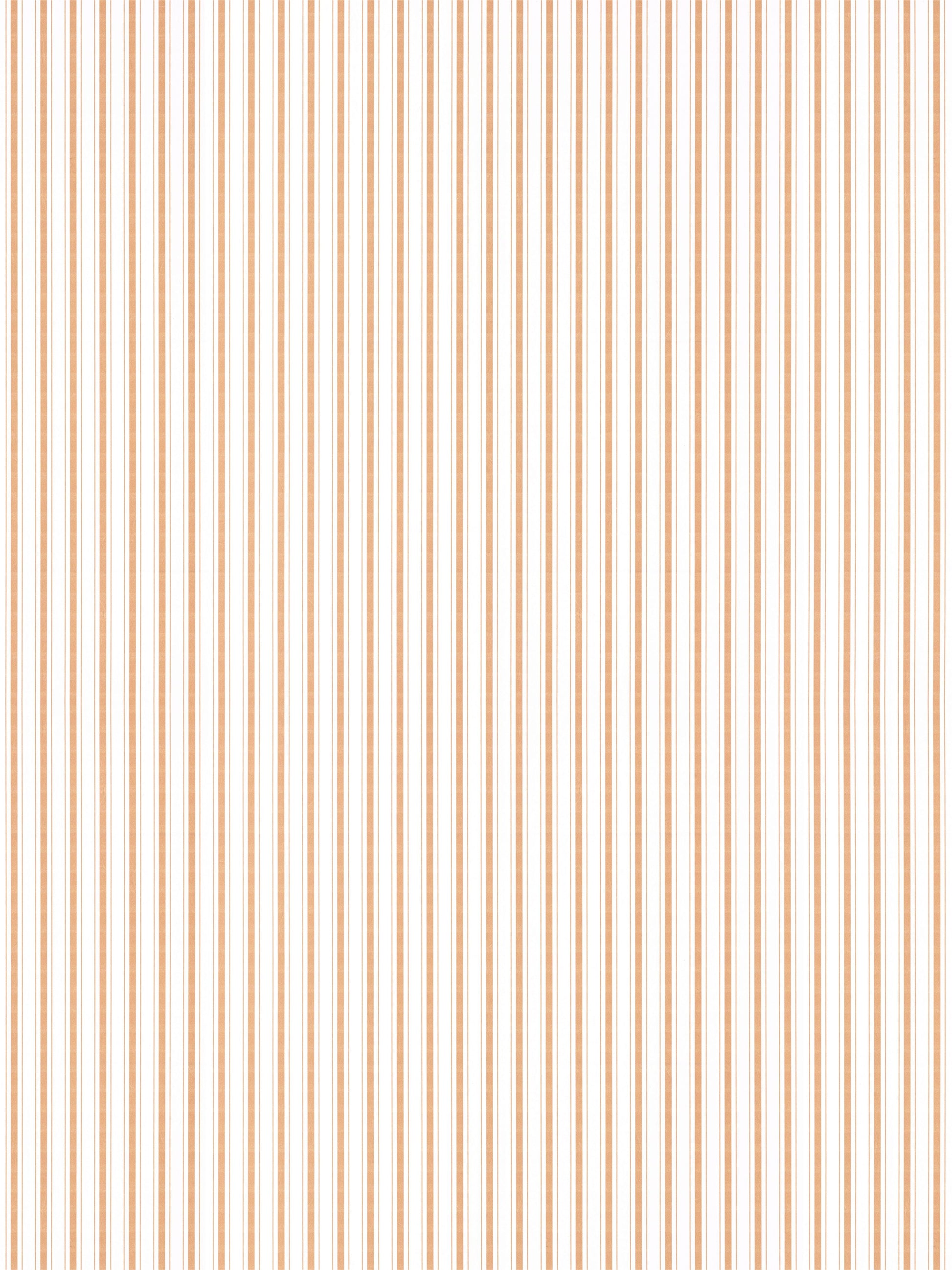 White background with thin peach vertical stripes; small-scale stripe wallpaper.