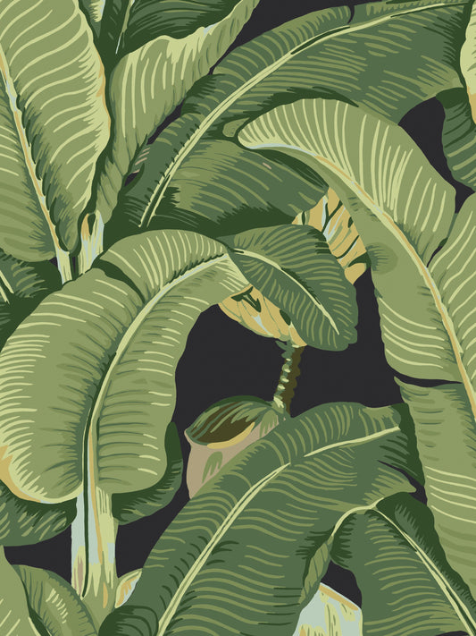 Bold tropical banana leaf pattern in green shades on a dark background, ideal for wallpaper.