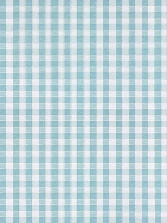 Light blue and white gingham fabric with small checks, casual textile for shirts, dresses, or table linens.