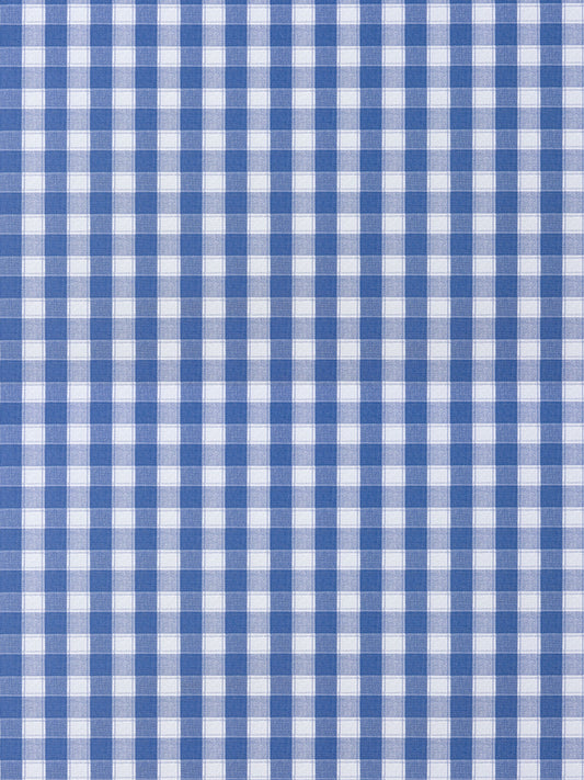 Blue and white gingham check fabric in a classic square pattern.