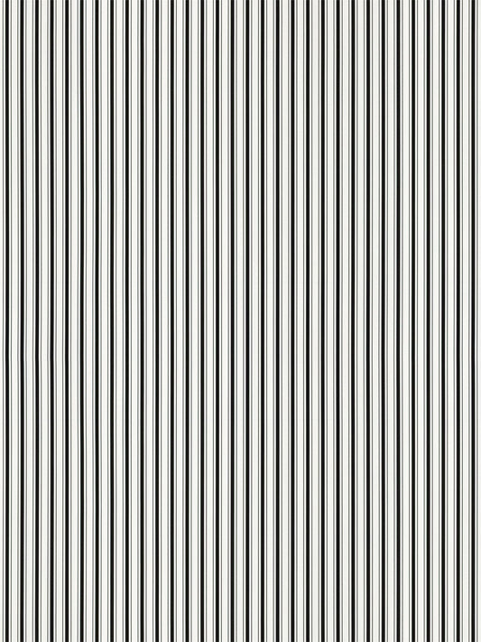 Black and white vertical stripe pattern with thin, evenly spaced lines creating a bold optical design.