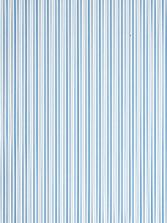 Blue and white vertical striped fabric pattern; lightweight textile suitable for shirts or home decor.