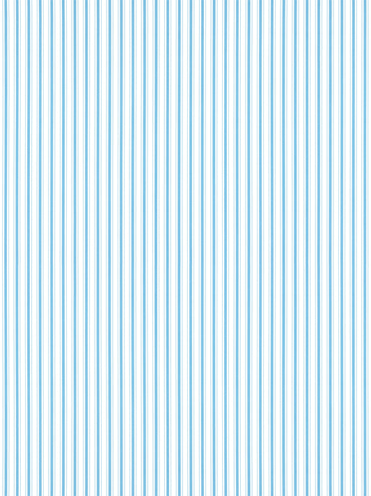 Blue and white vertical stripe pattern; decorative wallpaper or fabric design.
