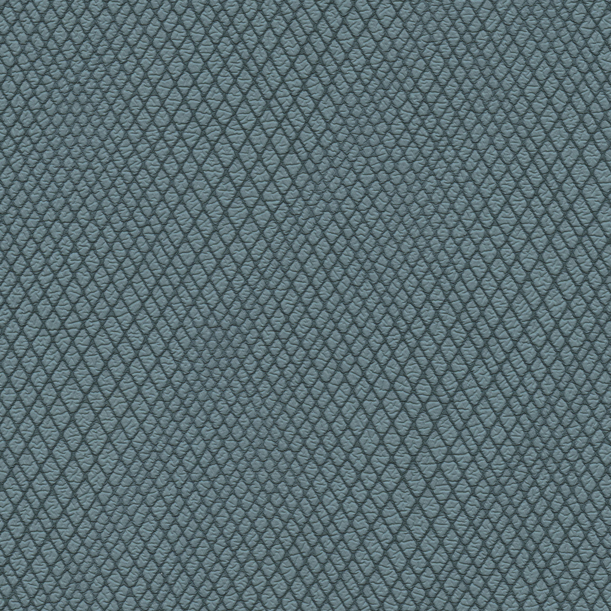 NICHOLASJOHN INC NJ-WINRED Blue    Fabric - NJ25-3774