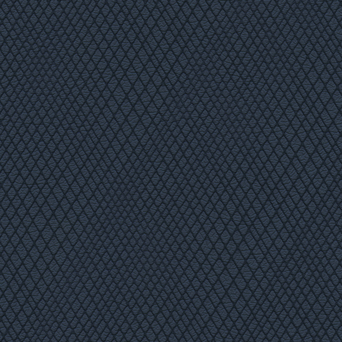 NICHOLASJOHN INC NJ-WINRED Navy    Fabric - NJ25-3775