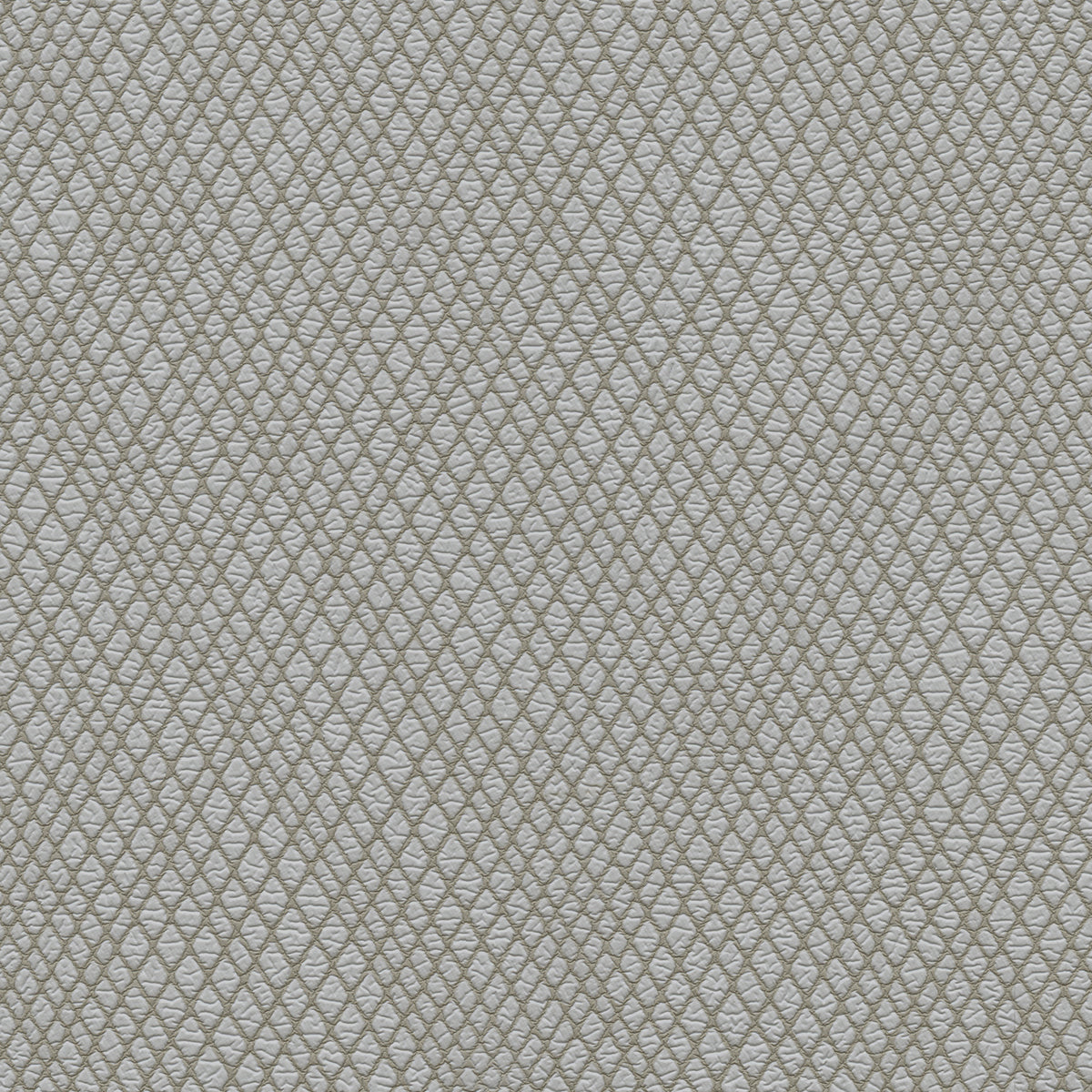 NICHOLASJOHN INC NJ-WINRED Gray    Fabric - NJ25-3777