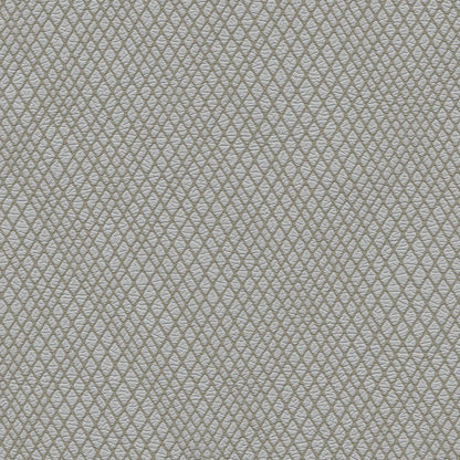 NICHOLASJOHN INC NJ-WINRED Gray    Fabric - NJ25-3777