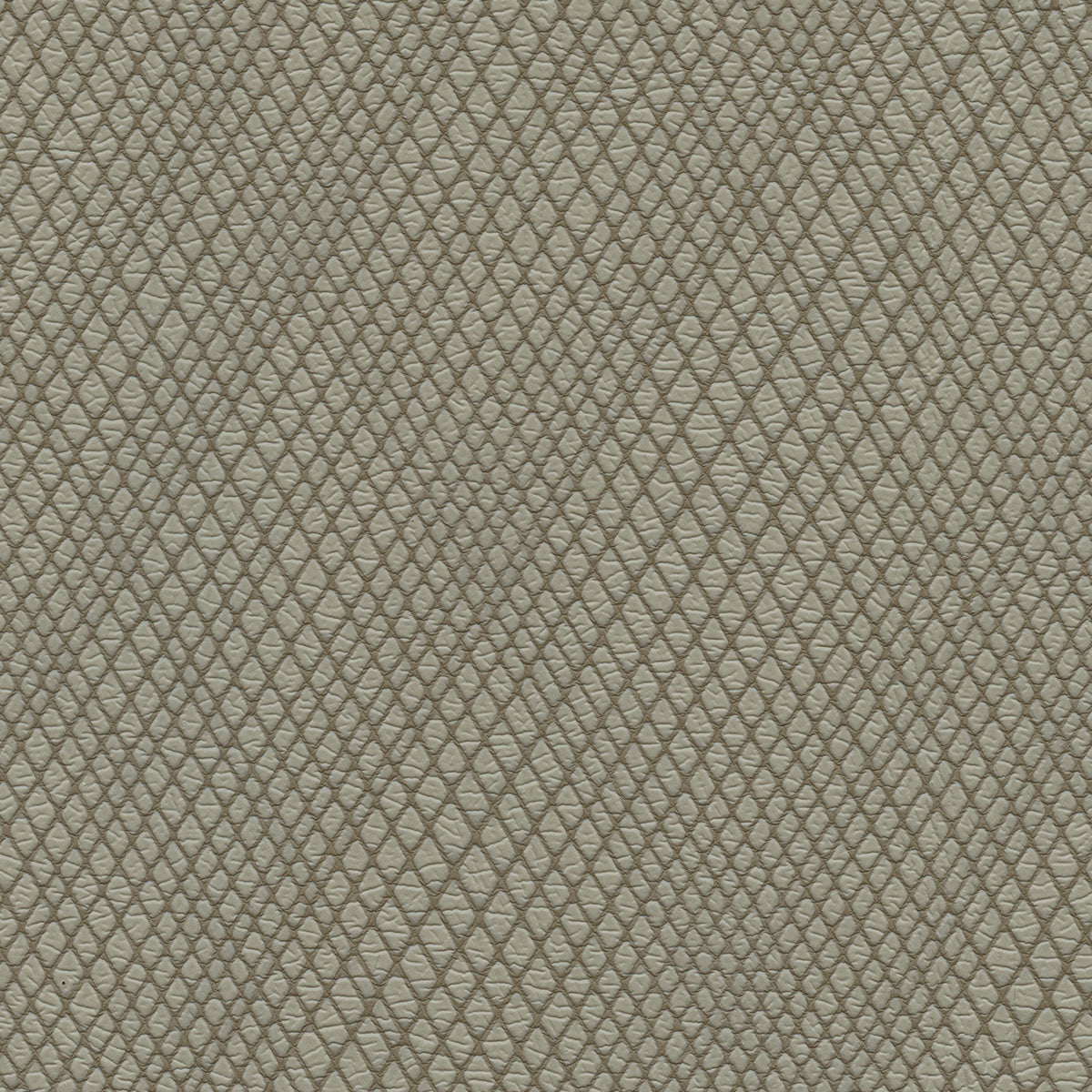 NICHOLASJOHN INC NJ-WINRED Taupe    Fabric - NJ25-3778
