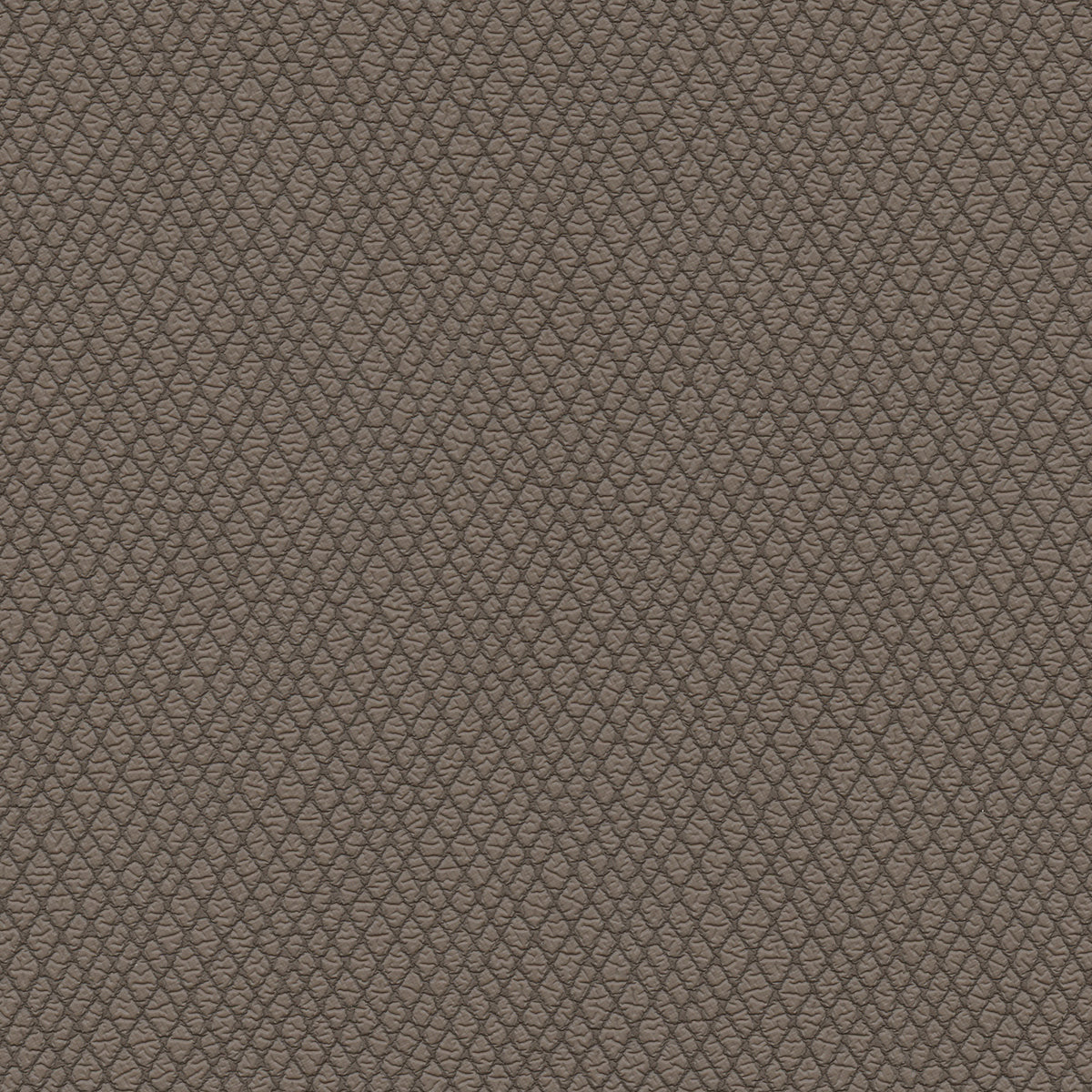 NICHOLASJOHN INC NJ-WINRED Brown    Fabric - NJ25-3779