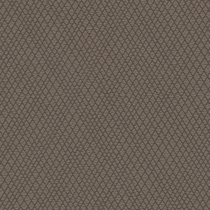 NICHOLASJOHN INC NJ-WINRED Brown    Fabric - NJ25-3779