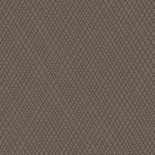 NICHOLASJOHN INC NJ-WINRED Brown    Fabric - NJ25-3779