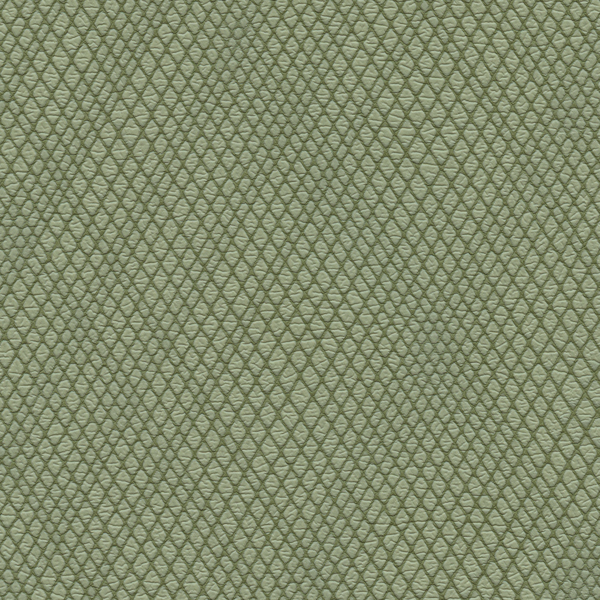 NICHOLASJOHN INC NJ-WINRED Green    Fabric - NJ25-3780
