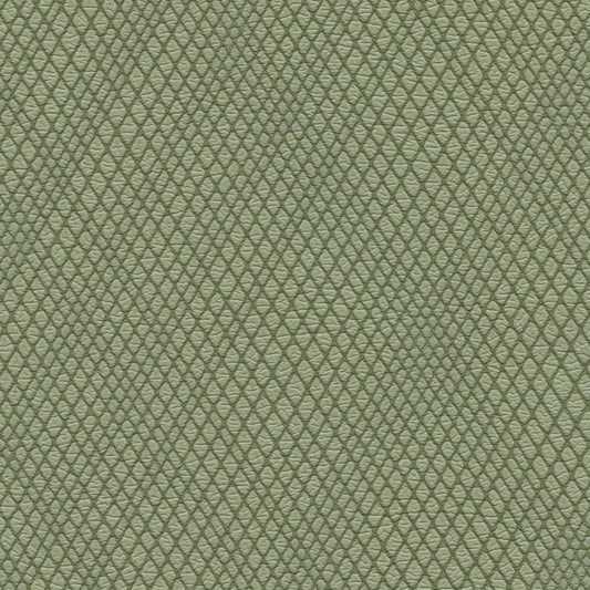 NICHOLASJOHN INC NJ-WINRED Green    Fabric - NJ25-3780