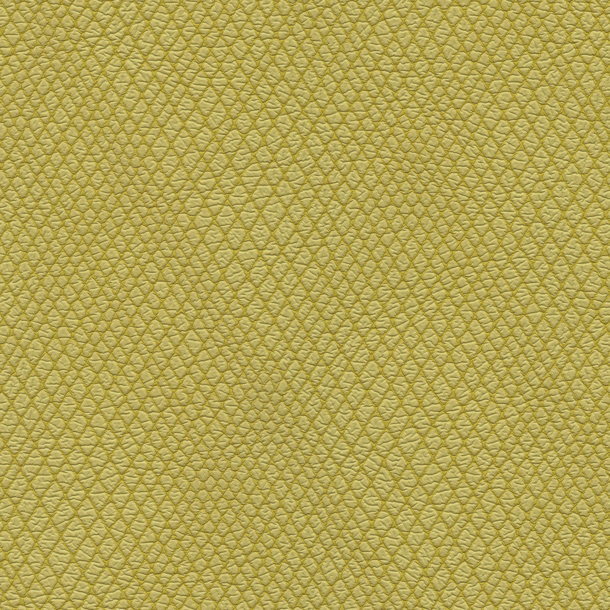NICHOLASJOHN INC NJ-WINRED Yellow    Fabric - NJ25-3781