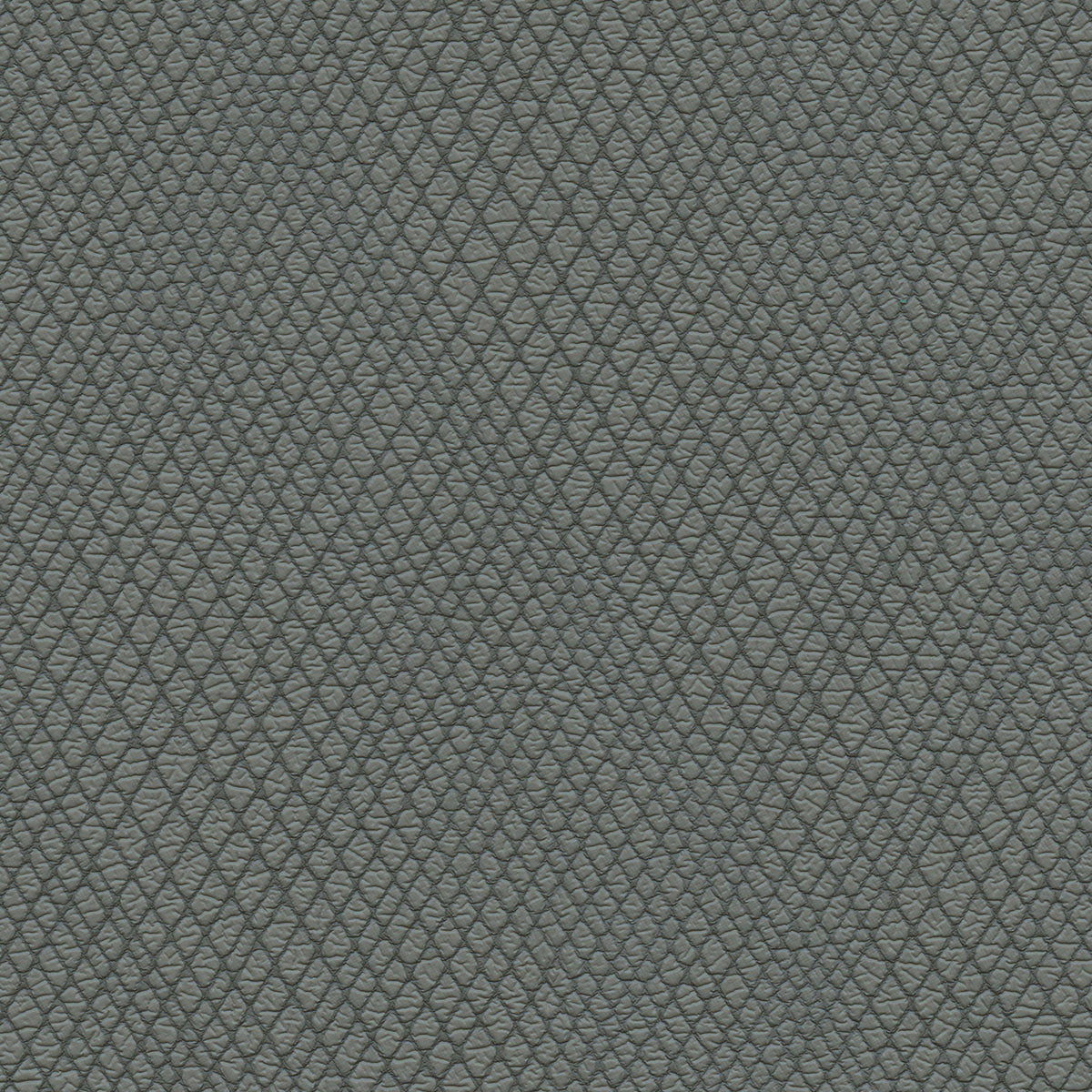 NICHOLASJOHN INC NJ-WINRED Gray    Fabric - NJ25-3783